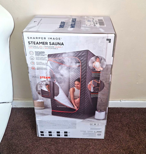 Sharper image wet steam - wet,